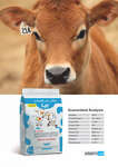 شیر خشک گوساله پرسا (10 کیلوگرمی) thumb 3