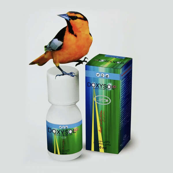 محلول داکسی داروهای دامی حجم 50 میلی لیتر