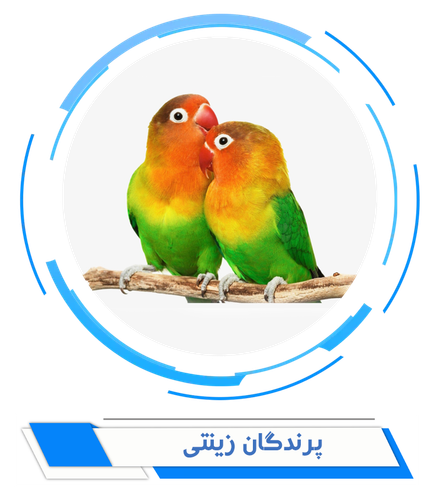پرندگان زینتی